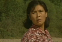 篱笆女人狗电视剧,情感纠葛下的乡村生活画卷