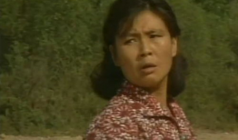 篱笆女人狗电视剧,情感纠葛下的乡村生活画卷