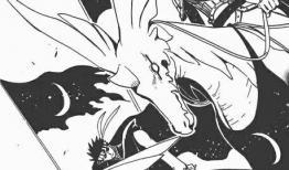 翼年代记漫画,命运交织的奇幻冒险之旅