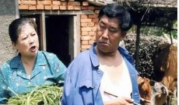 东北题材电视剧,东北风情电视剧中的时代记忆