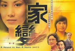 家变电视剧,命运转折的家族风云
