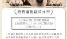 狗的电视剧,忠诚与梦想的交织