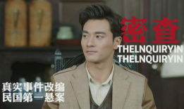 密查电视剧剧情介绍,揭秘暗流涌动的谍影世界