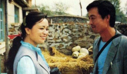 篱笆女人狗电视剧,情感纠葛下的乡村生活画卷
