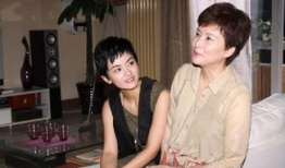 丈母娘来了电视剧,婆媳关系的微妙较量与和谐共融之路