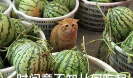 网红爆料吃瓜入口,揭秘吃瓜界的入口秘籍！