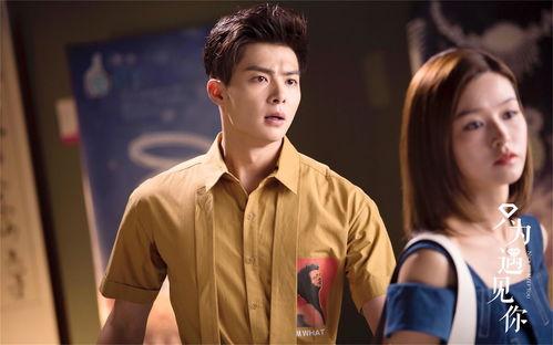 只为遇见你电视剧,穿越时空的浪漫邂逅