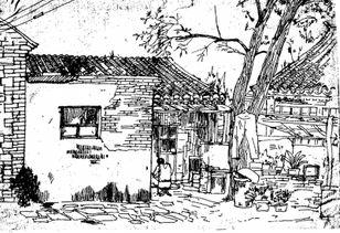 老北京大杂院的电视剧,老北京大杂院里的温情岁月