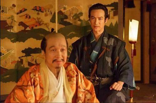 丰臣秀吉电视剧,战国霸业传奇