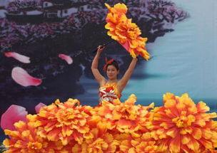 多肉漫画,绿意盎然的奇幻世界