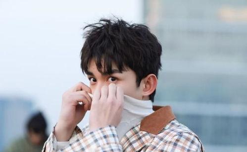 娱乐圈吃瓜吴磊